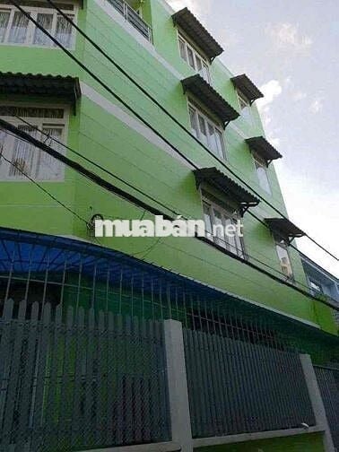 Nhà hẻm nhựa Trần Mai Ninh P12, 5x12, 3 lầu ST, 4pn giá 15tr