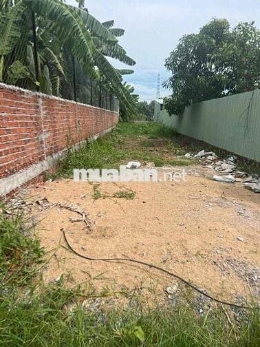 Bán gấp lô đất thái hoà tân uyên củ , xây trọ bao víp