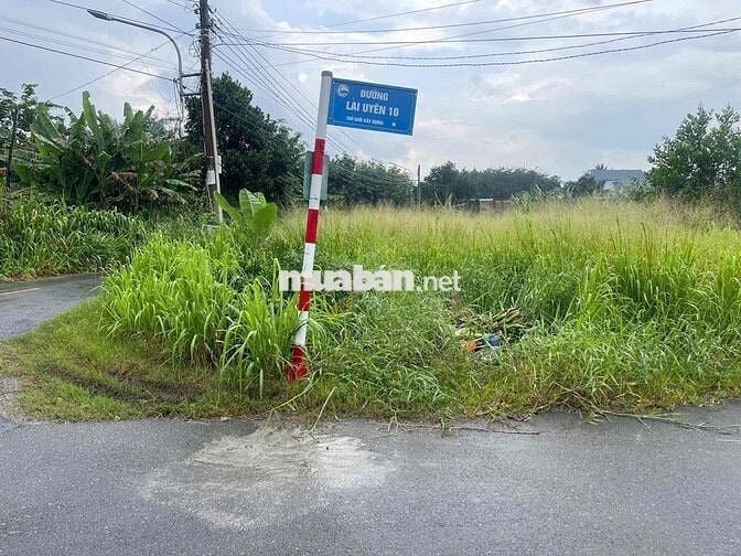 Chủ về quê bán gấp cắt lỗ 500tr lô đất 200m2 cách trung tâm 1km