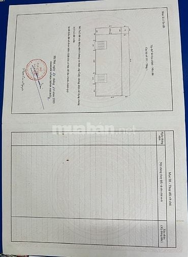 Cho thuê nhà làm văn phòng.và bán Shop house tại 31.P101. Mạc thái Tổ 