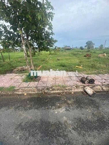 Bán đất kDC 5 hiệp ,tân lân ,cần đước,giá 1,8tỷ ,83,2m,Nhận ký gửi Đất
