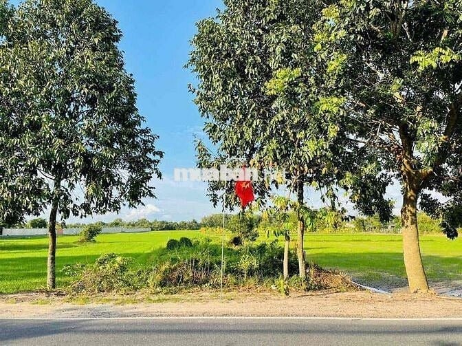 🌳 BÁN ĐẤT MẶT TIỀN ĐƯỜNG TỈNH LỘ 2 – TRUNG LẬP HẠ (XÃ NHUẬN ĐỨC MỚI),
