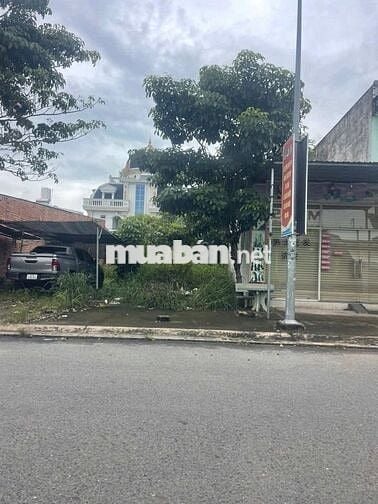 Đầu Tư Sinh Lời, Đường Số 19, Vĩnh Tân, Tân Uyên