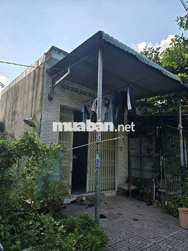 Cho thuê ky ốt gần đường số 5 , kdc trung quý