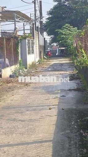 BÁN ĐẤT THỔ CƯ. ĐƯỜNG XE HƠI TẠI HÓC MÔN. TPHCM