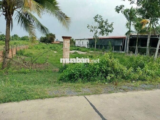 Nhà có 2057m2 đất thổ vườn ở Phước Thạnh – Giá 3 tỷ - Cách QL22 200m