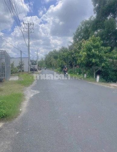 Cần Bán nhanh Căn nhà Ngay An Hoà Trảng Bang 150m2 Sổ hồng Riêng Sẵn 