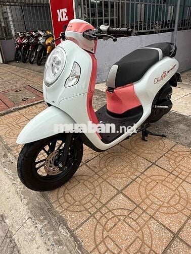 Scoopy Thailand
