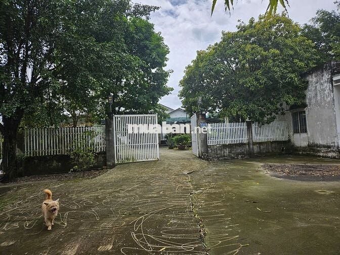 Cho thuê nhà tại đường Bàu Tre, Củ Chi
