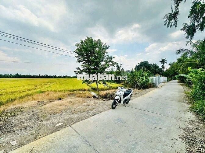 300 Triệu/ 1000m2 CÁCH ĐẠI HỌC CUỬ LONG, KCN HÒA PHÚ 5KM . VĨNH LONG