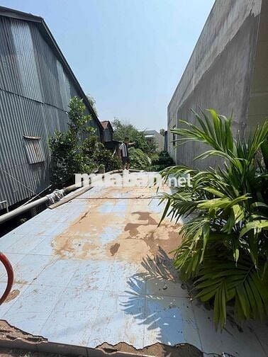 🏡 BÁN ĐẤT THỔ CƯ MẶT TIỀN ĐƯỜNG AN THẠNH – TP HỒNG NGỰ, ĐỒNG THÁP 🏡  📍