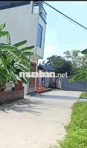 Bán đất Phù Trì, Kim Hoa, Mê Linh. Đường rộng, oto ra vào. Gần đường
