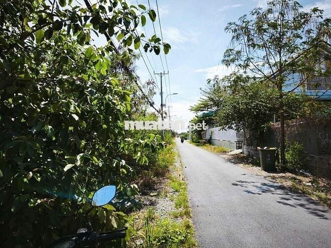 CẦN BÁN NHÀ CẤP 4 ĐƯỜNG THẠNH THỚI CẦN GIỜ TPHCM