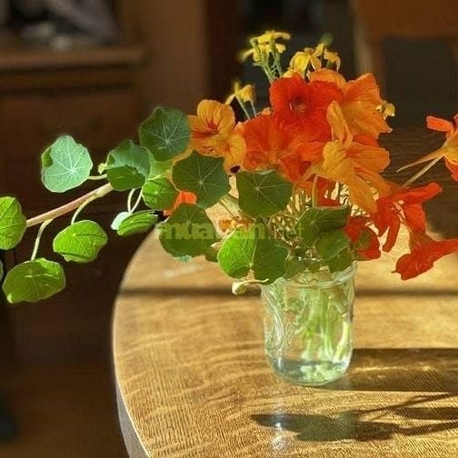 CẦN NGƯỜI PHỤ BÁN HÀNG THỜI VỤ OR LÂU DÀI 