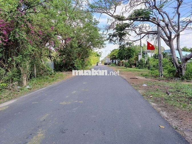 Nhà cho thuê nguyên căn, phù hợp với hộ gia đình