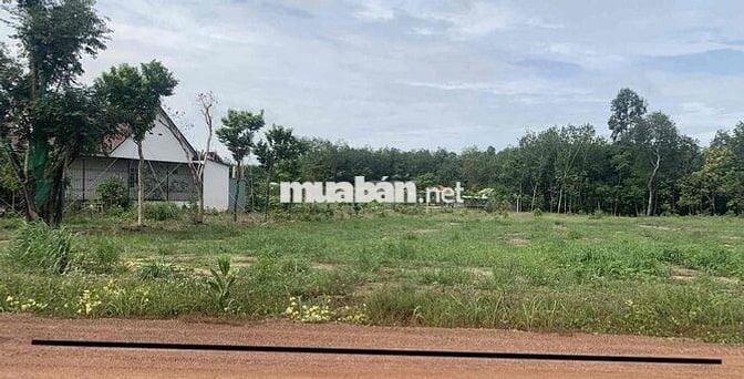 CẦN BÁN NHANH LÔ ĐẤT MẶT TIỀN ĐƯỜNG ĐH09 32m