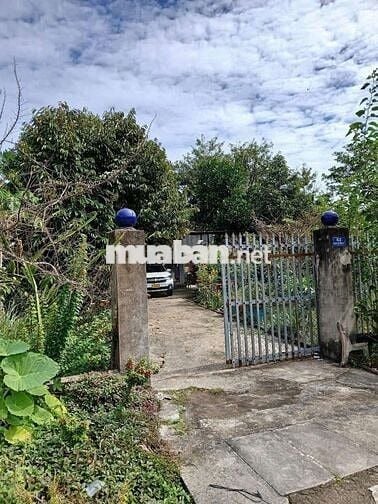 🏡 BÁN ĐẤT THỔ CƯ – SỔ HỒNG RIÊNG – CÔNG CHỨNG NGAY TẠI NGÂN HÀNG