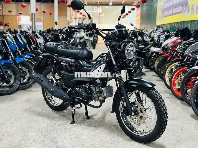 XE MÁYTHANH TÙNG_PG1 ĐEN NHÁM LƯỚT BIỂN 29 MỚI 99%