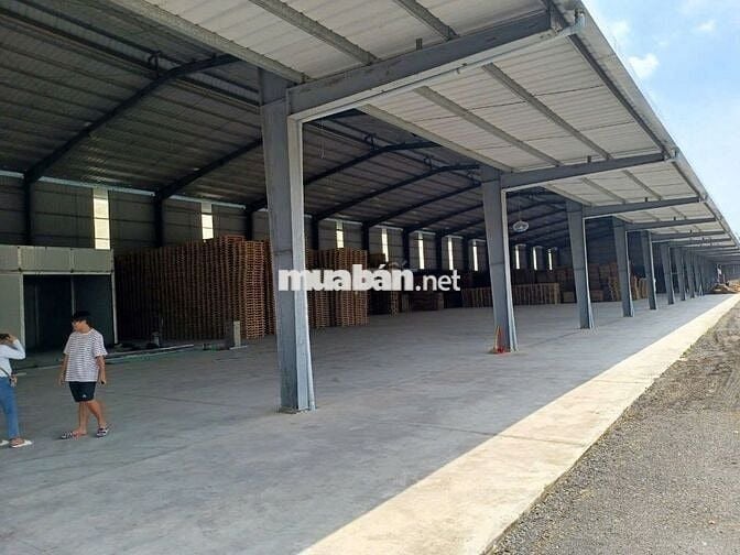 Cho thuê showroom 1.000m2 MT Trần Văn Giàu, Bình Chánh, giá : 80tr/ TH