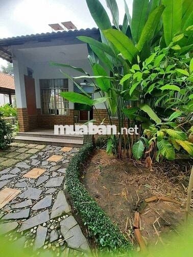 *** CĂN NHÀ 150M² NGAY KCN ĐẠI ĐĂNG, PHÚ MỸ - GIÁ CHỈ 900 TRIỆU!