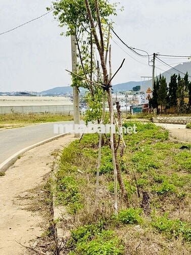 Bán đất KQH BV Nhi TP Đà Lạt trên đồi cao view thoáng