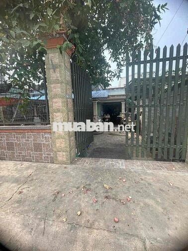 MT ĐƯỜNG TAM ĐÔNG, TTT, HÓC MÔN, ngang 8M KẸP HẺM VỪA Ở VỪA KD OK Ạ