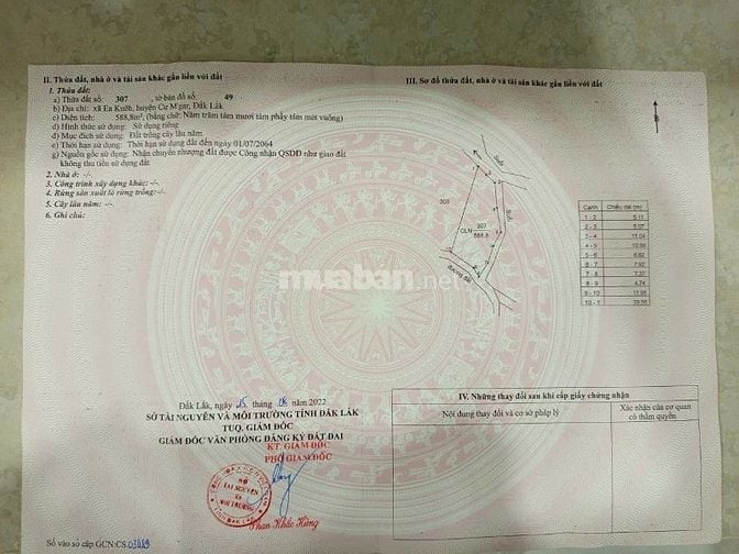 Bán đất vị trí : Xã Ea Kuêh, Huyện Cư M'gar, Đăk Lăk