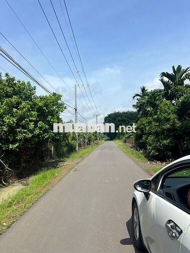Bán đất cách sân bay Long Thành 2,5 km, diện tích 2436m2