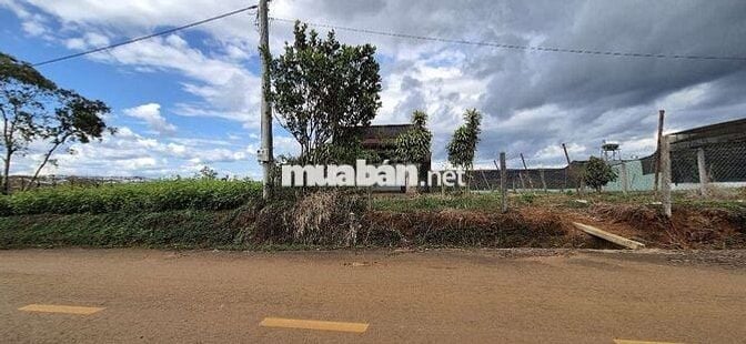 Bán đất sẵn thổ cư hơn 500m2 Ngay gần trung tâm p2 giá cực ưu đãi