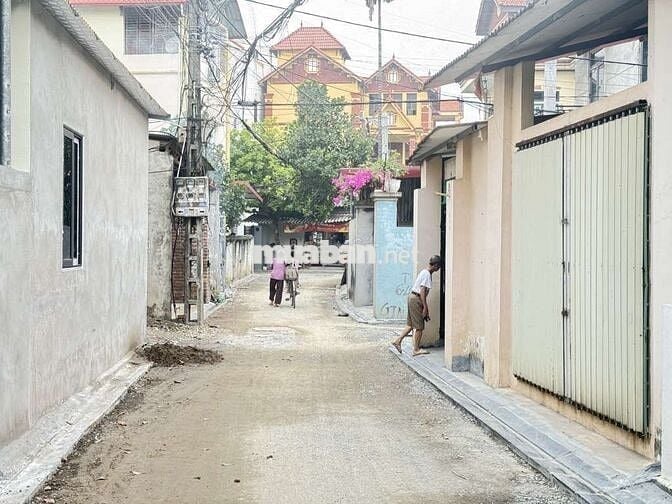 ĐẤT ĐẠI MẠCH 46M FULL THỔ CƯ 2 MẶT THOÁNG