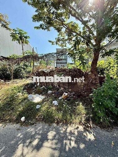 Bán lô đất MT Nguyễn Bính Hoà Minh Liên Chiểu