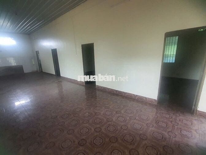 BÁN ĐẤT MẶT TIỀN ĐƯỜNG BÌNH LỘC – TÍN NGHĨA, TP. LONG KHÁNH 🌳