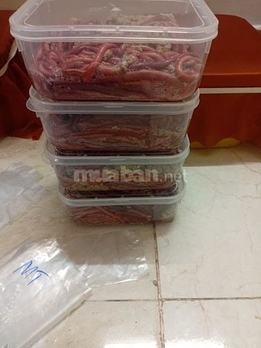 Giao chở hàng bằng xe máy liên tỉnh 