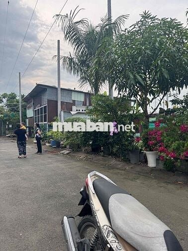 cho thuê kho 250m2 đường Phạm Hữu Lầu giá 17.5 tr