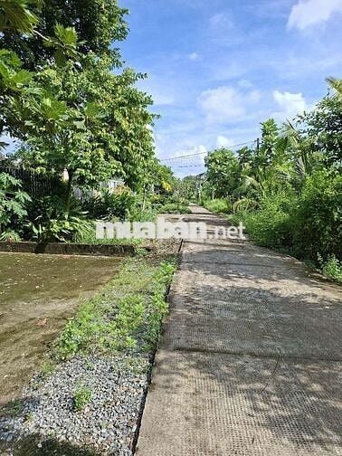 ĐẤT MẶT TIỀN PHƯỜNG 7 - LONG AN