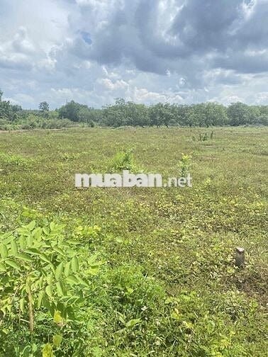 Cần Bán Lô Đất hơn 300m2 tại Thanh An, Hớn Quản,Bình Phước