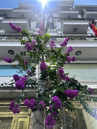 Nhà đẹp khu phân lô – Lâm Thị Hố, Q12 giáp Gò Vấp