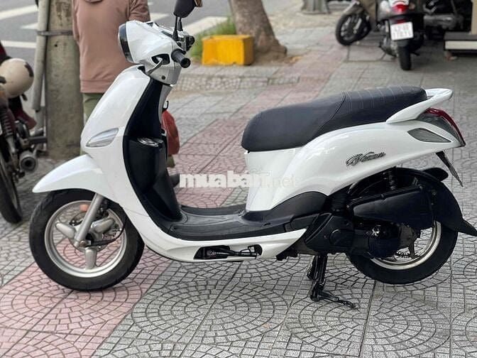 Nozza Fi  Nguên bản 43