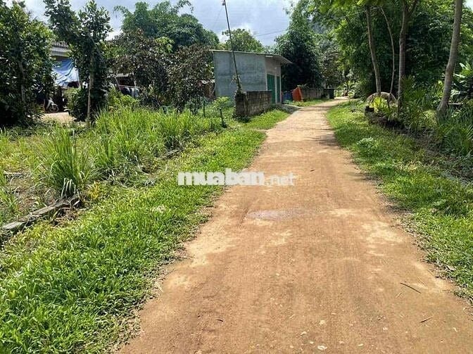 CHÍNH CHỦ CẦN TIỀN MUỐN BÁN GẤP LÔ ĐẤT GẦN ĐƯỜNG  HỒ CHÍ MINH GIÁ 260T