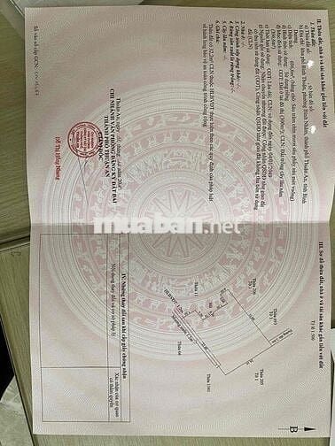 Bán đất vườn gần đường CMT8, tặng nhà cấp 4 kiên cố.