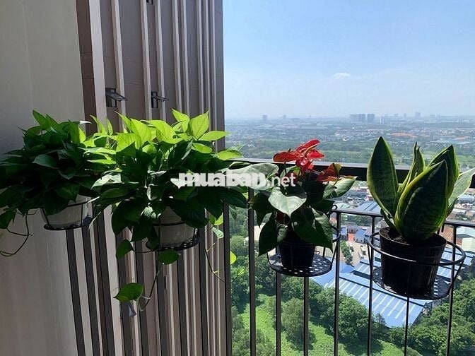 Bán lỗ STUDIO 40m2 1tỷ150(Ko bancol) + 1tỷ250(Có bancol) Opal Skyline