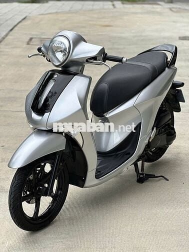 Janus bạc màu đẹp ghê ACE ơi