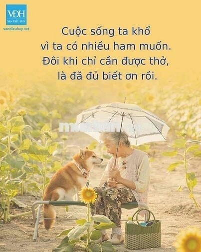 cần sang quán ăn mặt tiền Hoàng Quốc Việt 20x20