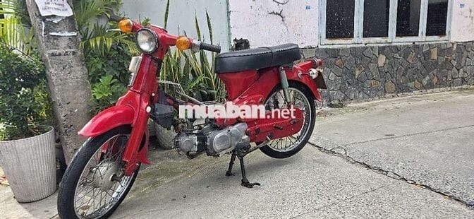Cub 50cc