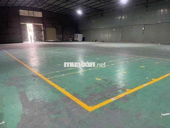 Cho thuê kho xưởng khu chế xuất Linh Trung,cont 24/24,nền epoxy