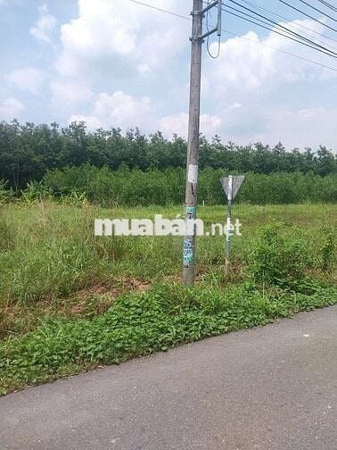 đất đẹp lai uyên,dh 516 bàu bàng 360m2,thổ cư,sổ hồng riêng