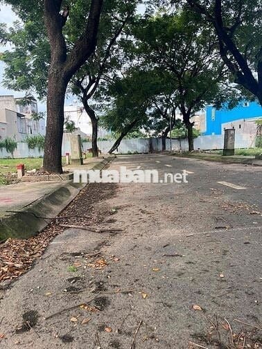 Cấn tiền bán gáp lô đất cho con di du học "