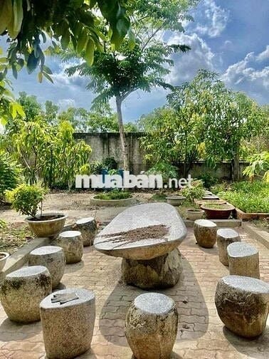 Cho Thuê nhà vườn Kênh T5 Hưng Long - Bình Chánh