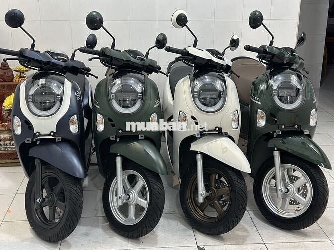 Scoopy 2025