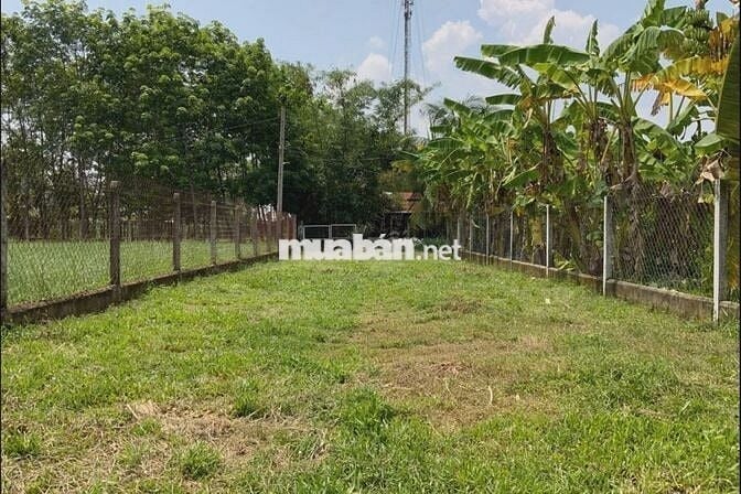 Đất 1/Trung Lập - Trung Lập Thượng : 212m2 (7x30) . Giá 680 triệu
